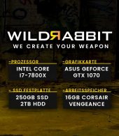 Wildrabbit I Gaming 7800, i7-7800X, GTX-1070 8GB Gaming, 16GB RAM, 250GB SSD, 2TB HDD, Gamer PC