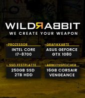 Wildrabbit I Gaming 8700, i7-8700, GTX-1060, 16GB RAM, 250GB SSD, 2TB HDD, Gamer PC